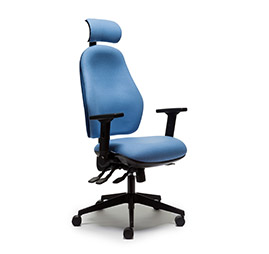 blue orthopaedic and bad back chair