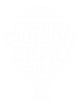 carbon zero